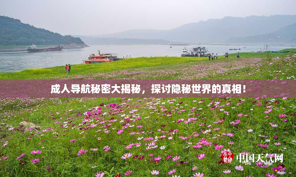 成人导航秘密大揭秘，探讨隐秘世界的真相！
