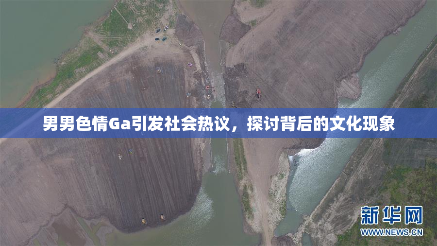男男色情Ga引发社会热议，探讨背后的文化现象