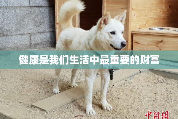 健康是我们生活中最重要的财富
