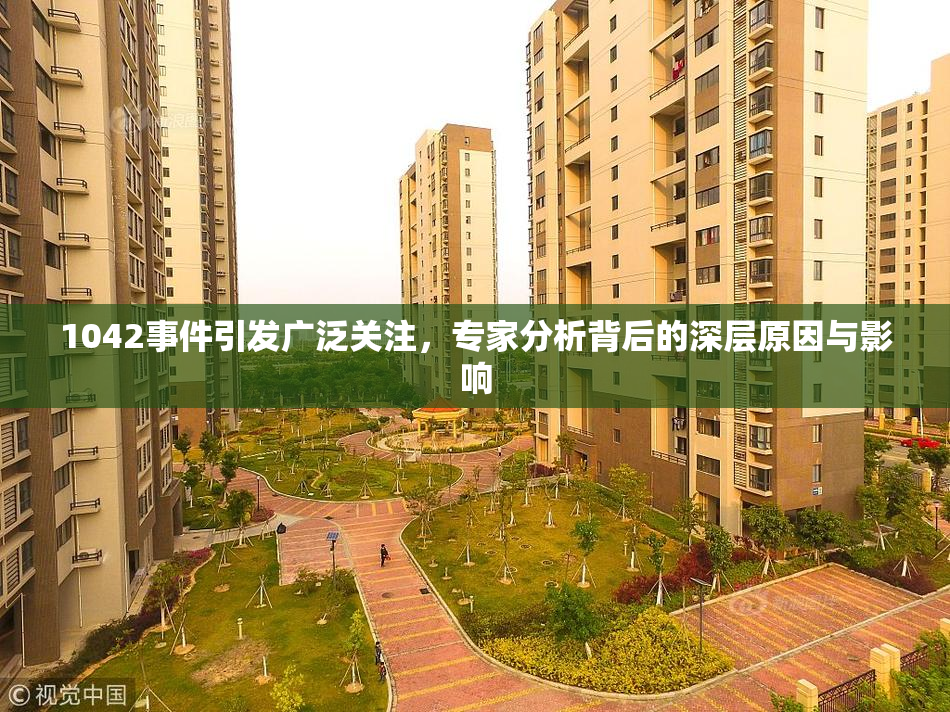 1042事件引发广泛关注，专家分析背后的深层原因与影响
