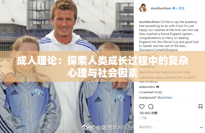 成人理论：探索人类成长过程中的复杂心理与社会因素