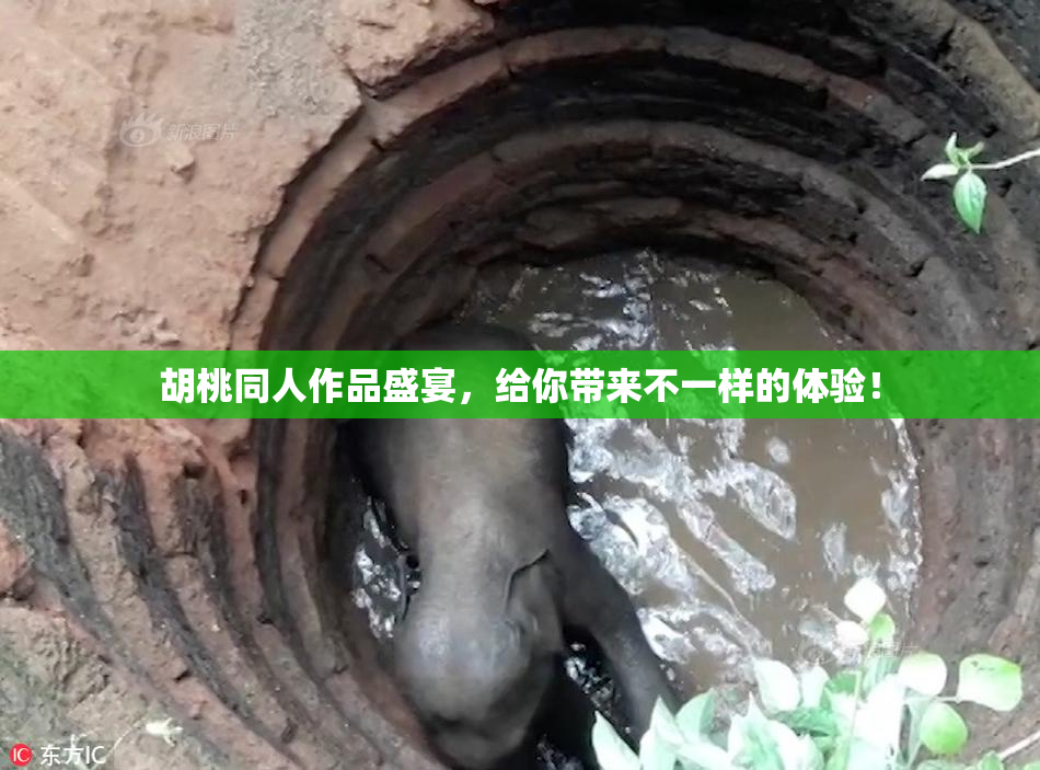 胡桃同人作品盛宴，给你带来不一样的体验！