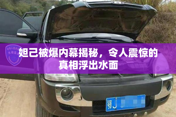 妲己被爆内幕揭秘，令人震惊的真相浮出水面