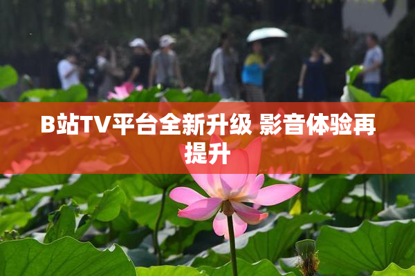 B站TV平台全新升级 影音体验再提升