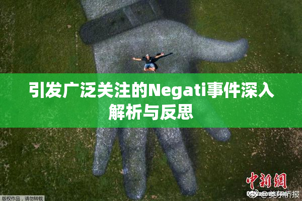 引发广泛关注的Negati事件深入解析与反思