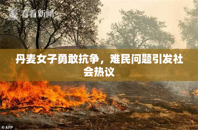丹麦女子勇敢抗争，难民问题引发社会热议
