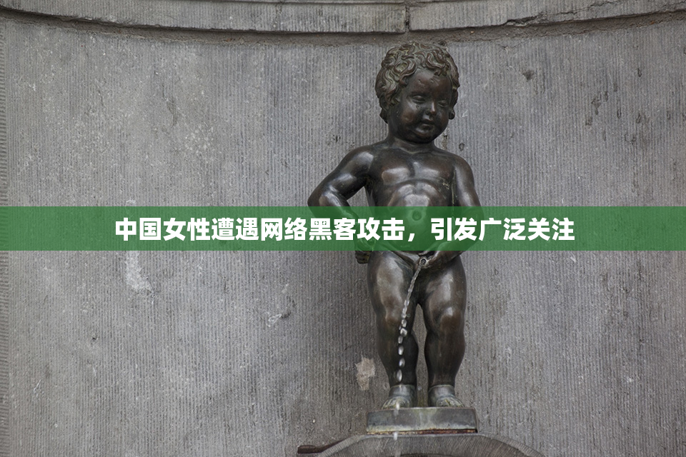 中国女性遭遇网络黑客攻击，引发广泛关注