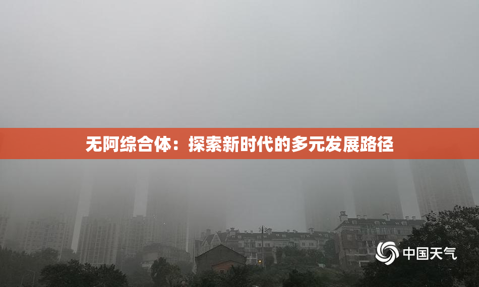 无阿综合体：探索新时代的多元发展路径