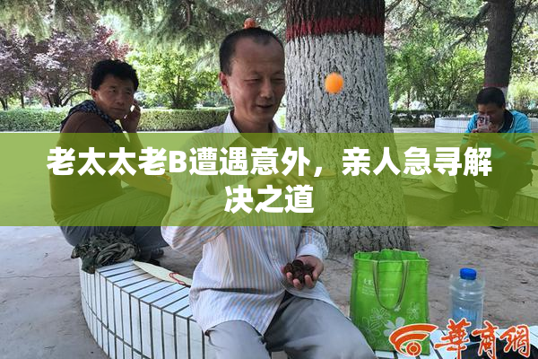 老太太老B遭遇意外，亲人急寻解决之道
