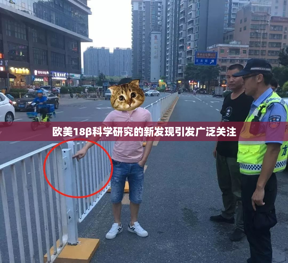 欧美18β科学研究的新发现引发广泛关注