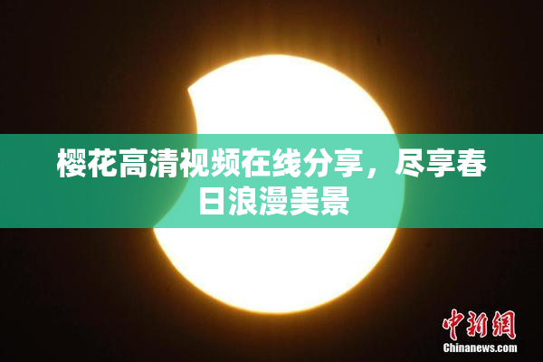樱花高清视频在线分享，尽享春日浪漫美景