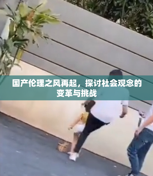 国产伦理之风再起，探讨社会观念的变革与挑战