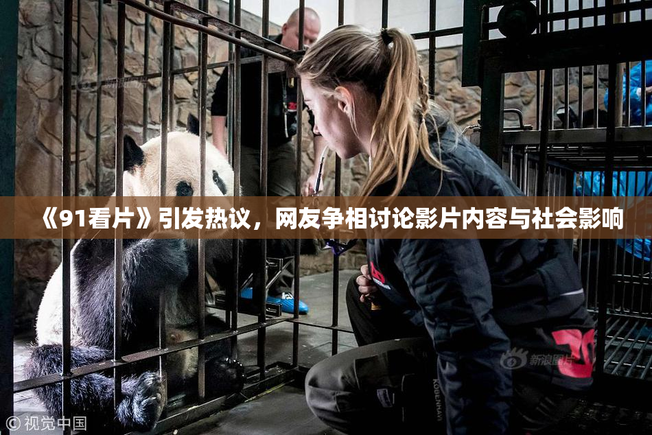 《91看片》引发热议，网友争相讨论影片内容与社会影响