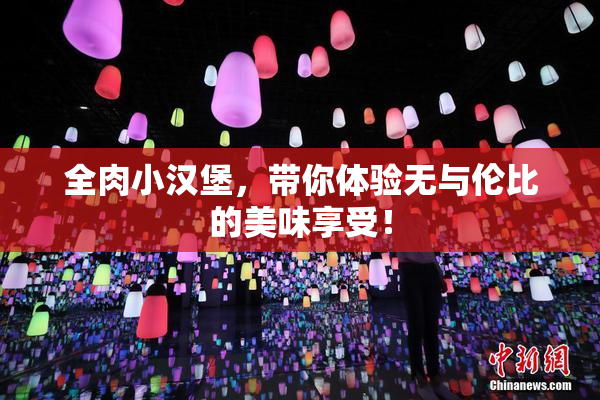 全肉小汉堡，带你体验无与伦比的美味享受！