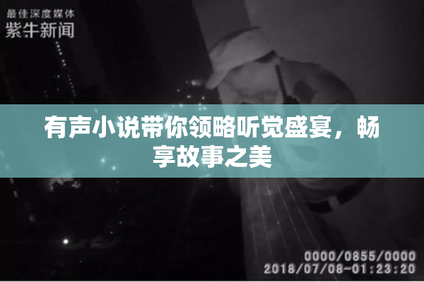 有声小说带你领略听觉盛宴，畅享故事之美