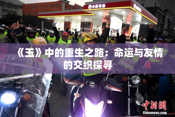 《玉》中的重生之路：命运与友情的交织探寻