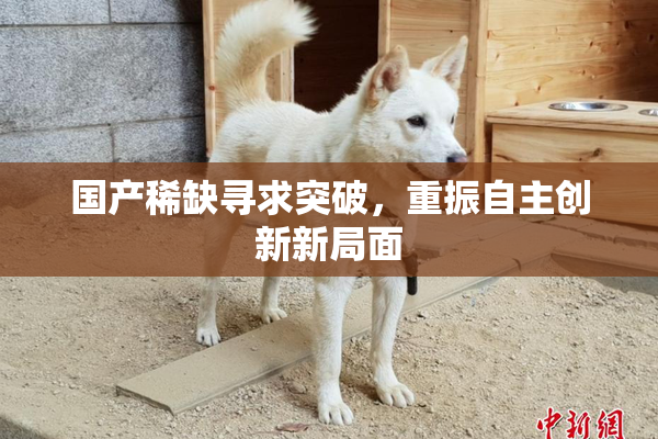国产稀缺寻求突破，重振自主创新新局面