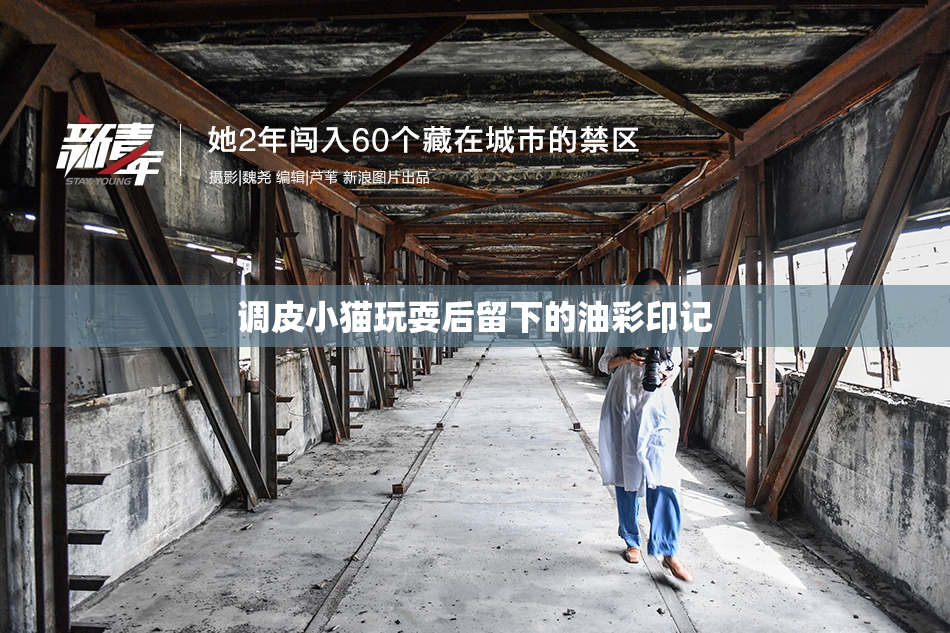 调皮小猫玩耍后留下的油彩印记