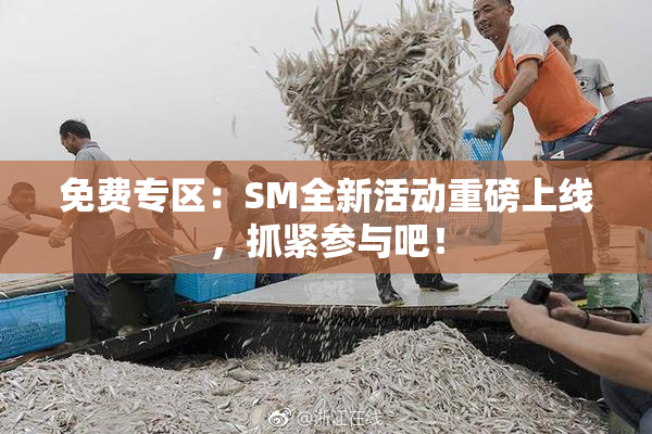 免费专区：SM全新活动重磅上线，抓紧参与吧！