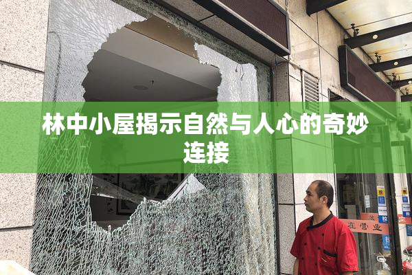 林中小屋揭示自然与人心的奇妙连接