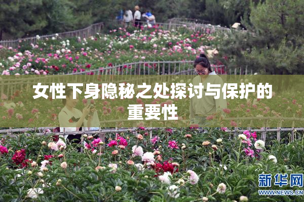 女性下身隐秘之处探讨与保护的重要性