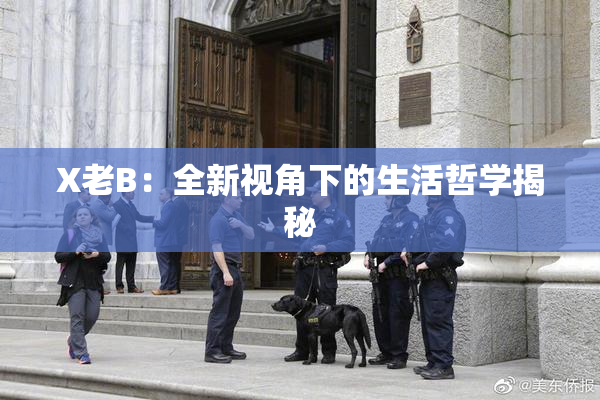 X老B：全新视角下的生活哲学揭秘