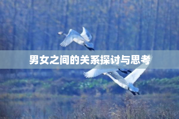 男女之间的关系探讨与思考