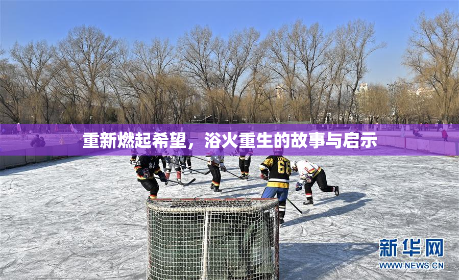 重新燃起希望，浴火重生的故事与启示