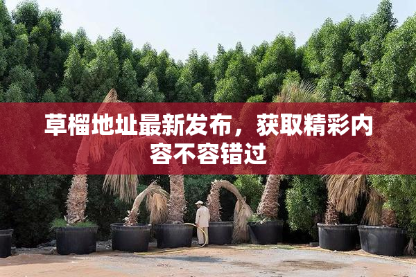 草榴地址最新发布，获取精彩内容不容错过