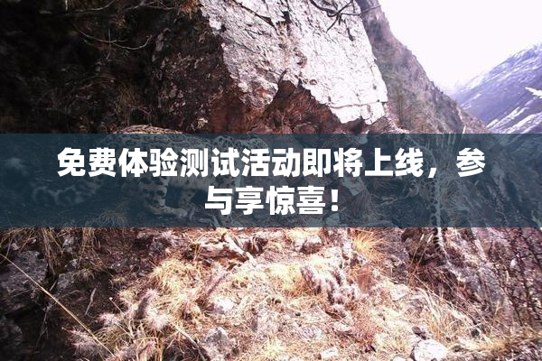 免费体验测试活动即将上线，参与享惊喜！