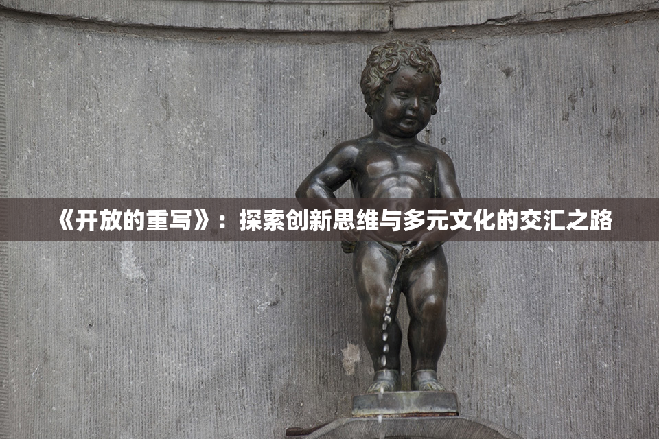 《开放的重写》：探索创新思维与多元文化的交汇之路