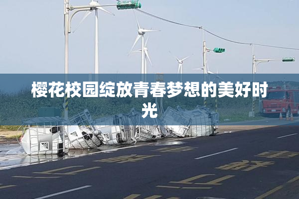 樱花校园绽放青春梦想的美好时光