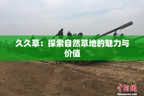 久久草：探索自然草地的魅力与价值