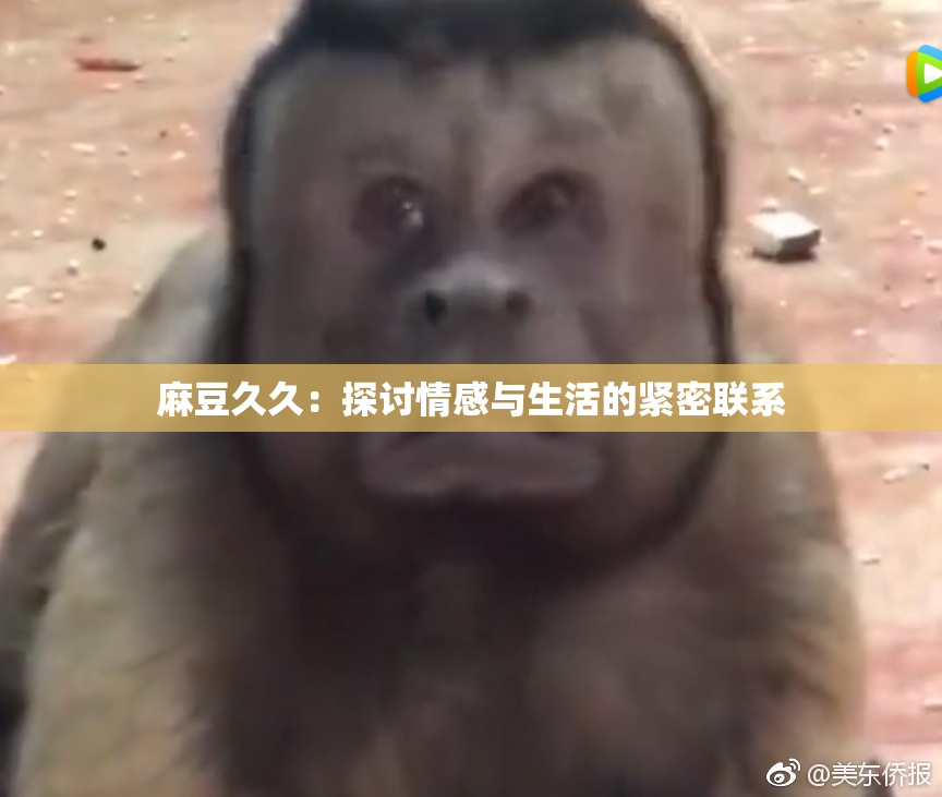 麻豆久久：探讨情感与生活的紧密联系