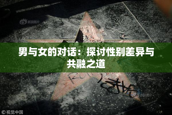 男与女的对话：探讨性别差异与共融之道