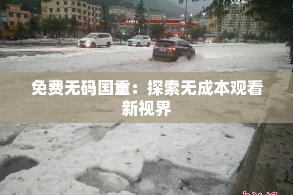 免费无码国重：探索无成本观看新视界