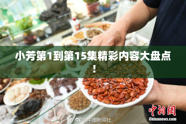 小芳第1到第15集精彩内容大盘点！