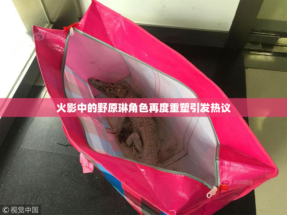 火影中的野原琳角色再度重塑引发热议
