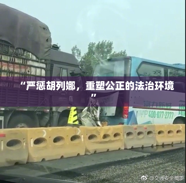 “严惩胡列娜，重塑公正的法治环境”