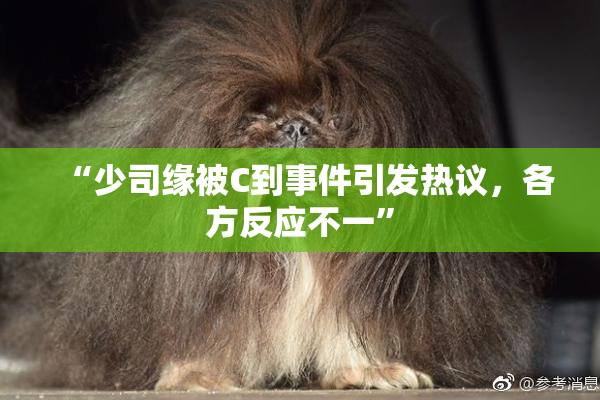 “少司缘被C到事件引发热议，各方反应不一”
