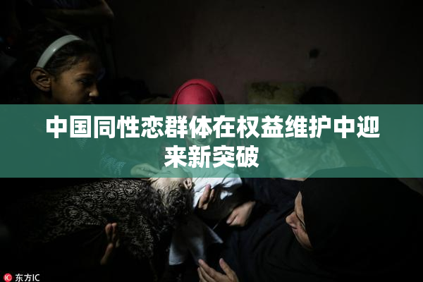 中国同性恋群体在权益维护中迎来新突破