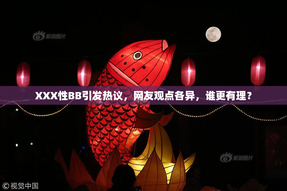 XXX性BB引发热议，网友观点各异，谁更有理？