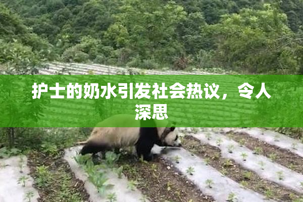 护士的奶水引发社会热议，令人深思