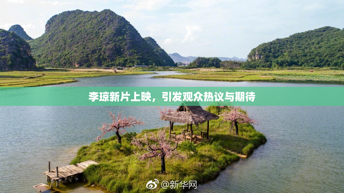 李琼新片上映，引发观众热议与期待