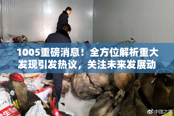 1005重磅消息！全方位解析重大发现引发热议，关注未来发展动态。