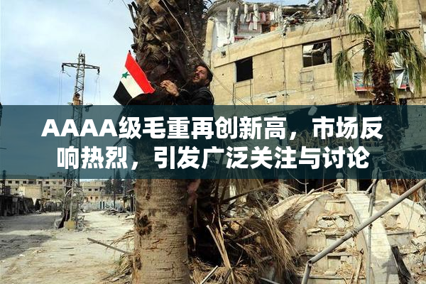 AAAA级毛重再创新高，市场反响热烈，引发广泛关注与讨论