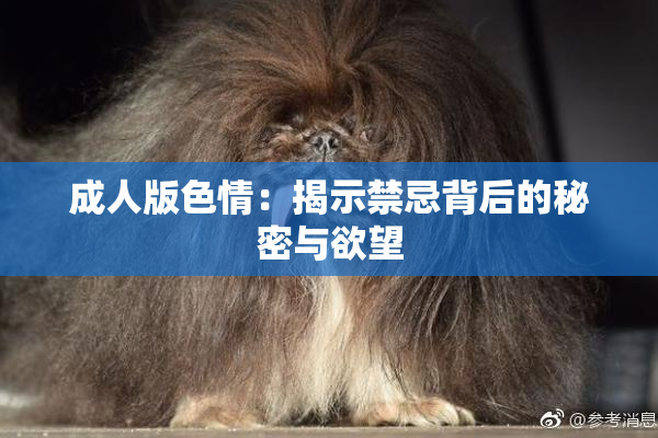 成人版色情：揭示禁忌背后的秘密与欲望