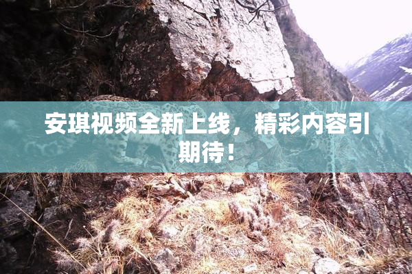 安琪视频全新上线，精彩内容引期待！