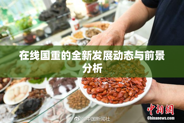 在线国重的全新发展动态与前景分析