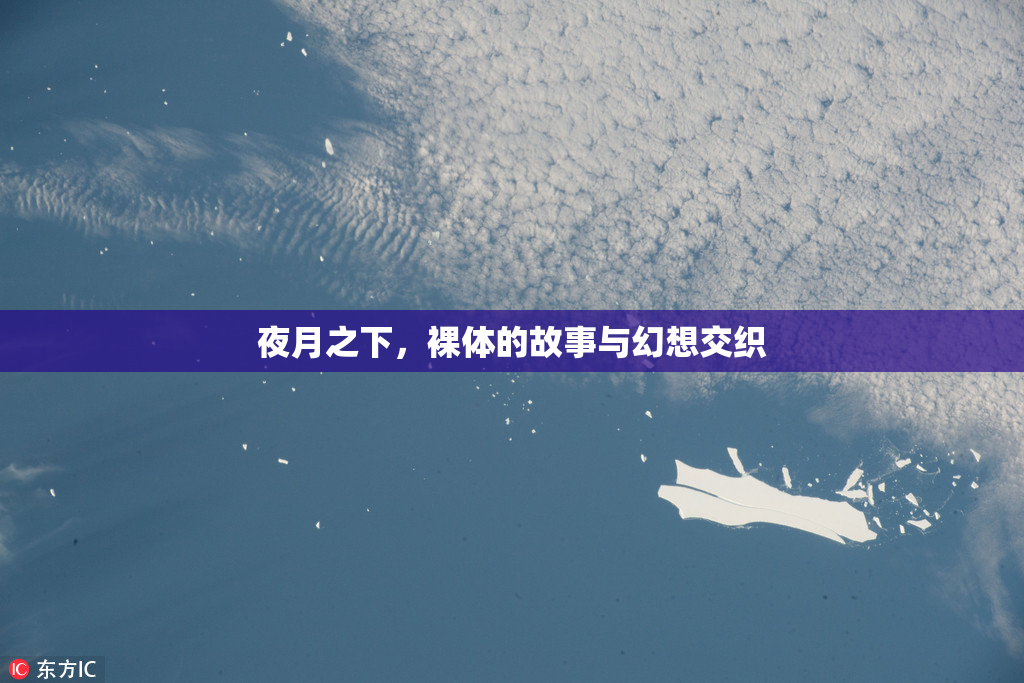 夜月之下，裸体的故事与幻想交织